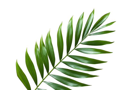 Leaf Left